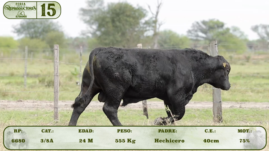 Lote LOTE 15
