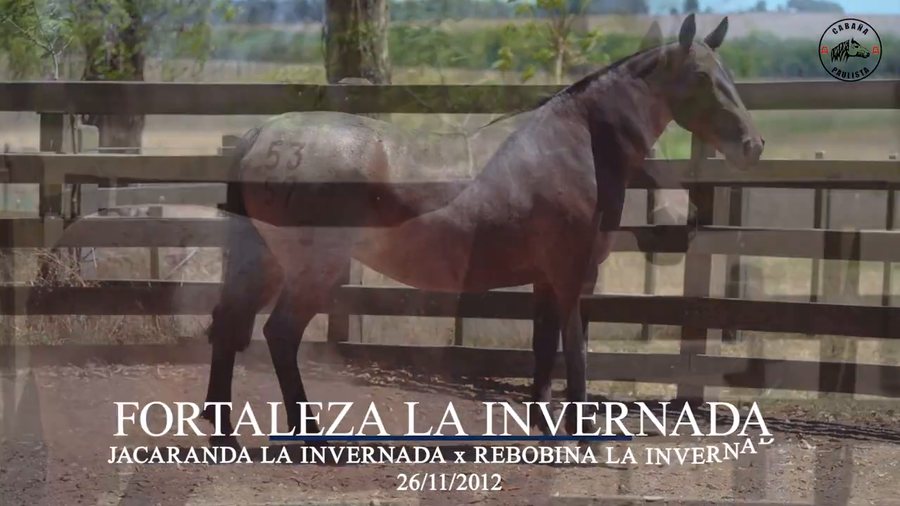 Lote Fortaleza La Invernada