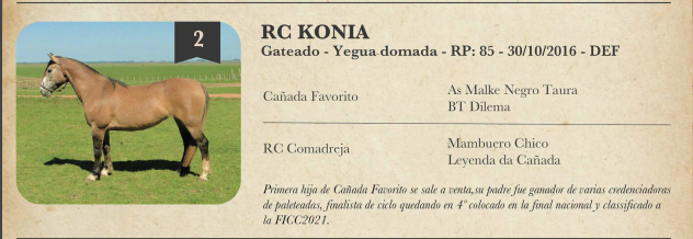 Lote Criollos da Fronteira - La Cañada - KONIA