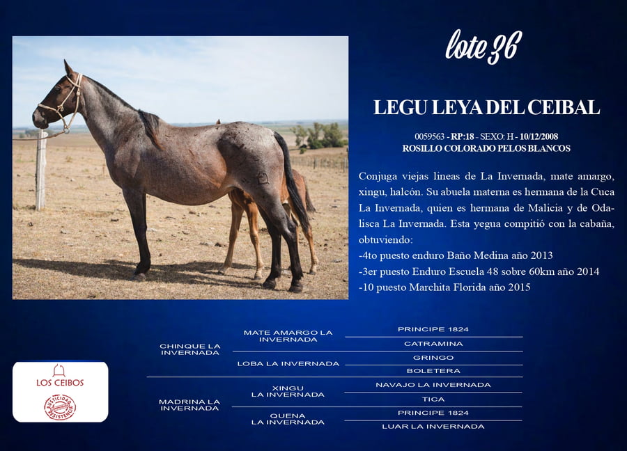 Lote Legu Leya Del Ceibal