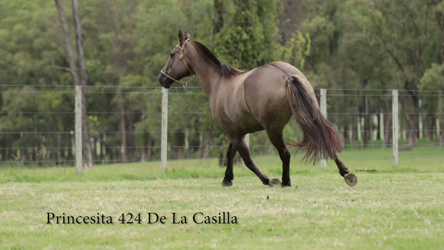 Lote Princesita 424 De La Casilla