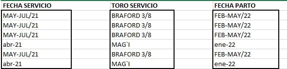 Lote VAQUILLONA PREÑADAS CORRAL 80