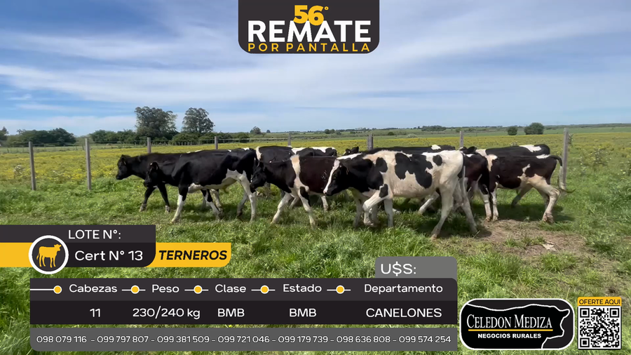 Lote 11 Terneros en Paso del Bote, Canelones
