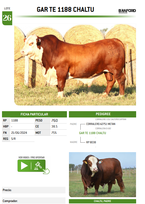 Lote LOTE 26