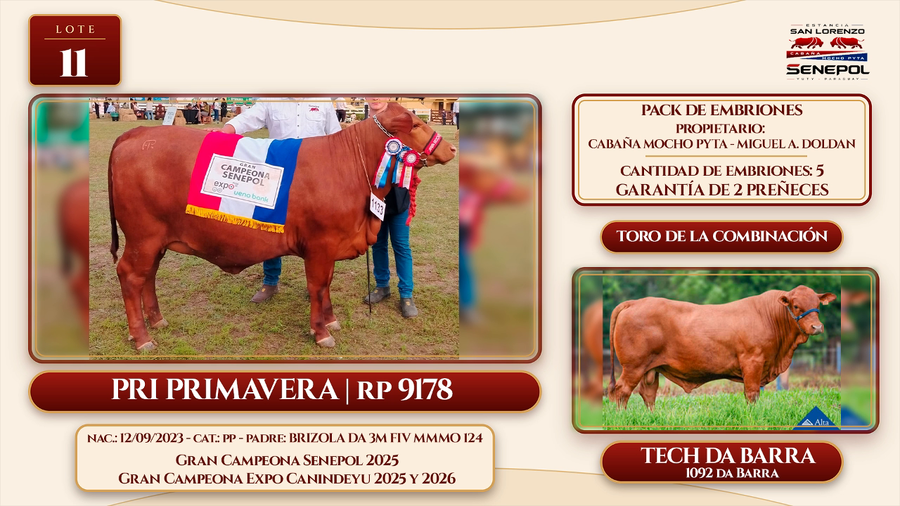 Lote LOTE 11