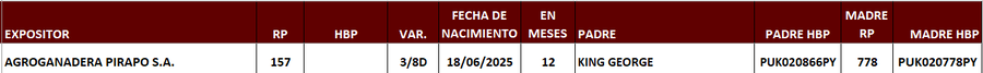 Lote LOTE 23