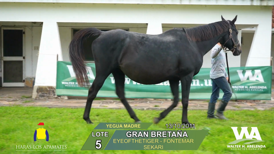 Lote GRAN BRETAÑA