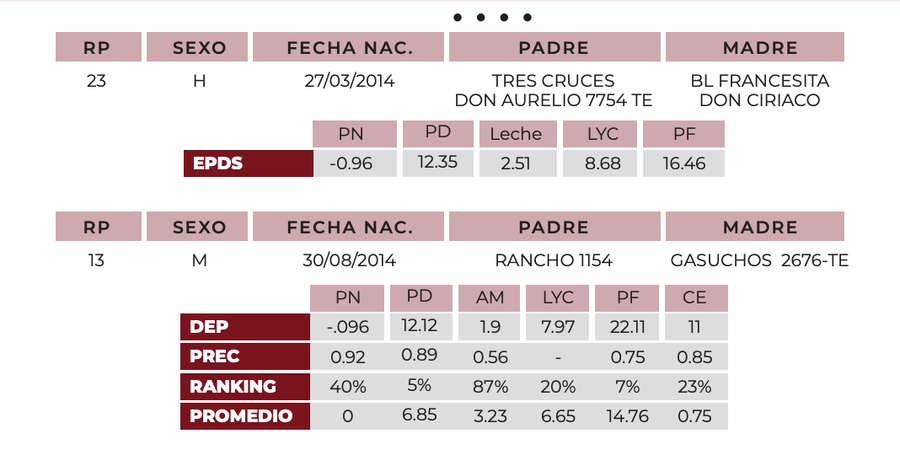 Lote Lote 5 embriones