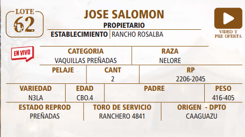 Lote LOTE 62 -EN VIVO