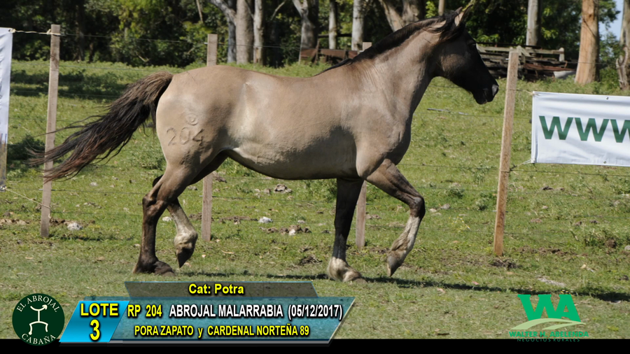 Lote ABROJAL MALARRIBA