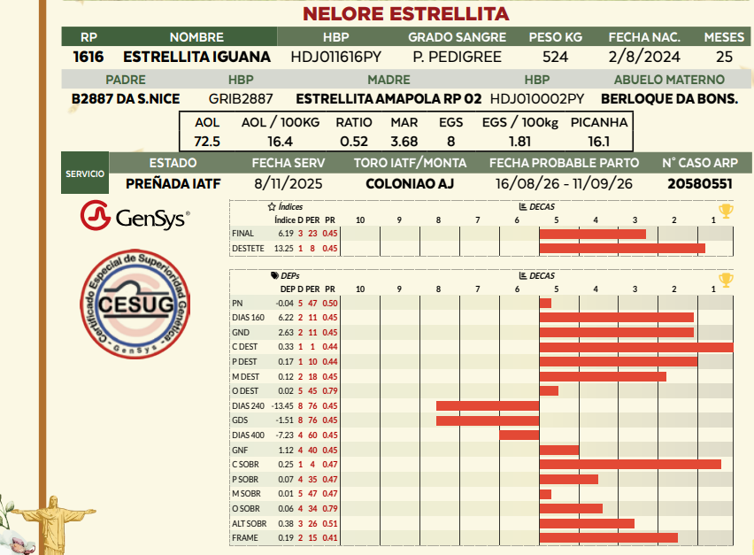 Lote LOTE 27