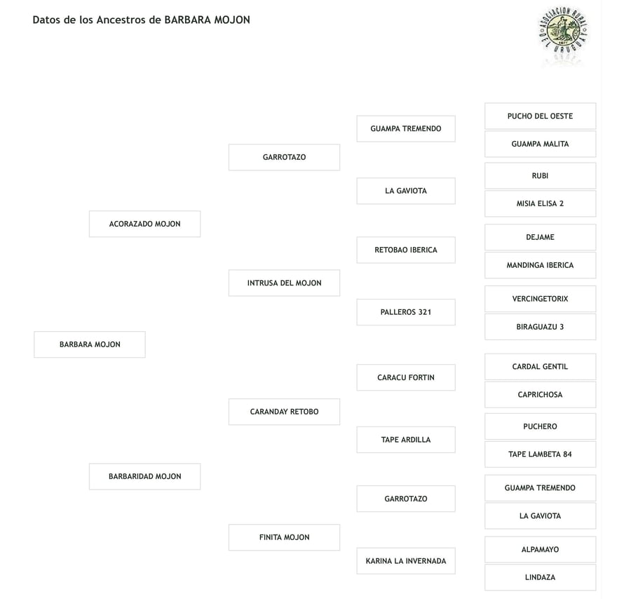 Lote Cabaña "El Mojón" - RP 551 - Bárbara El Mojón