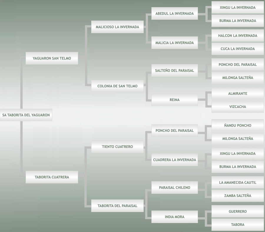 Lote SA Taborita Del Yaguaron