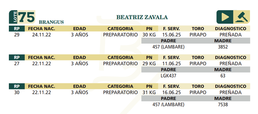 Lote LOTE 75