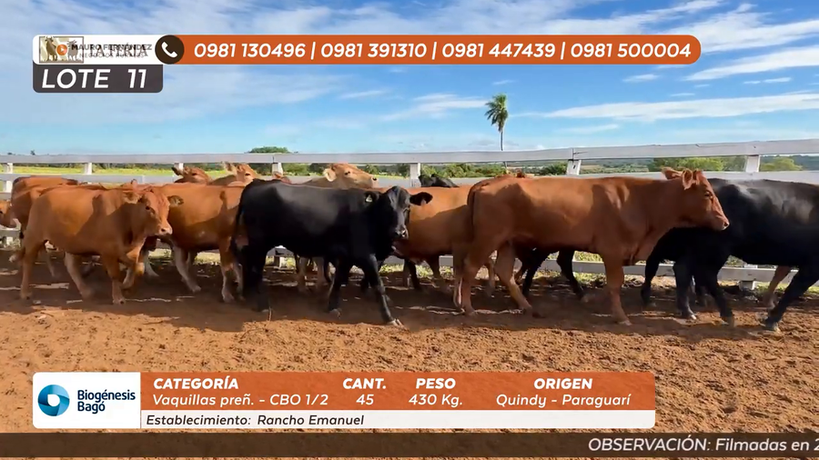 Lote ESTANCIA RANCHO EMANUEL