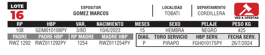 Lote LOTE 16- JUNIOR