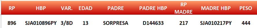 Lote LOTE 23- JUNIOR