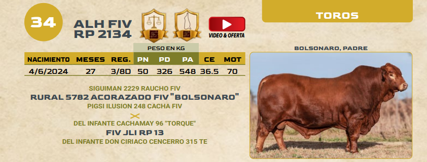 Lote LOTE 34