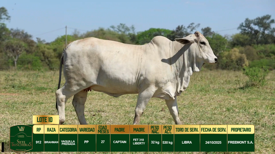 Lote LOTE 10