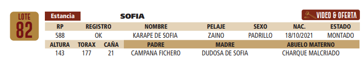 Lote LOTE 82
