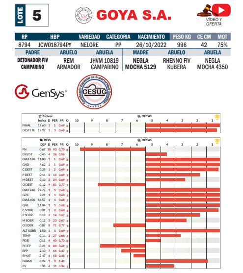Lote LOTE 5- POR PANTALLA