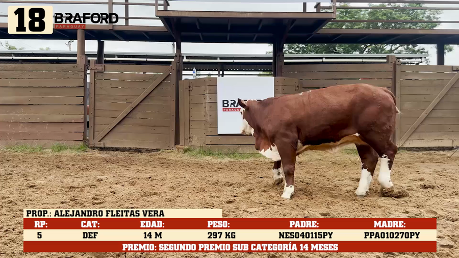 Lote LOTE 18