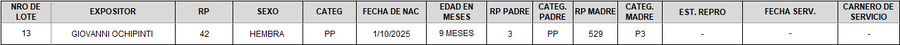 Lote LOTE 13 - CAMPO