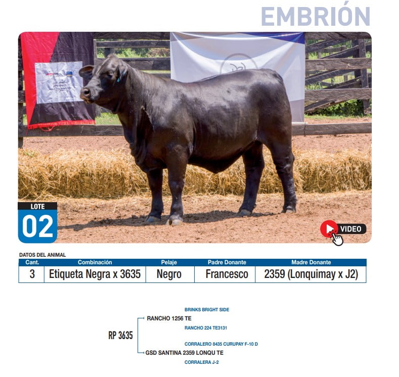 Lote Etiqueta Negra x 3635