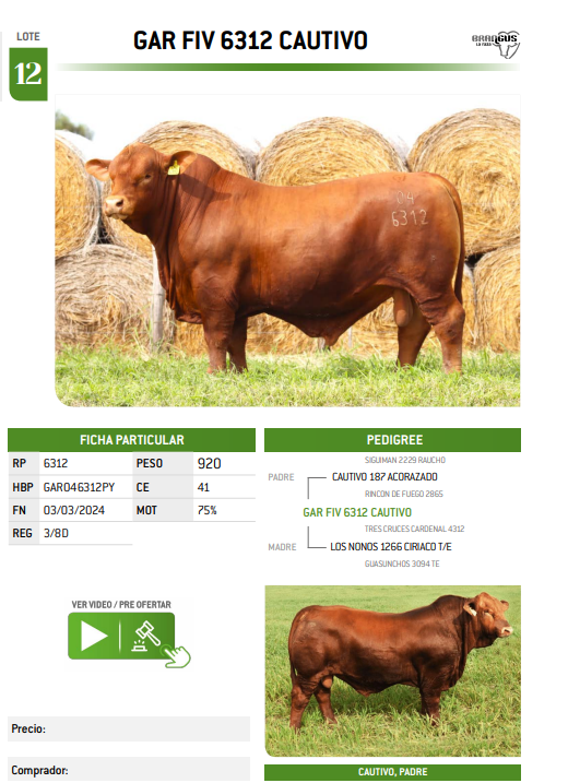 Lote LOTE 12