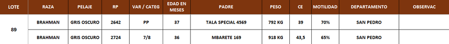 Lote LOTE 89