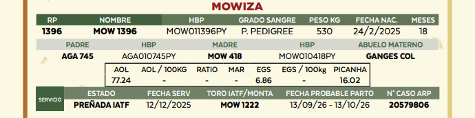 Lote LOTE 41