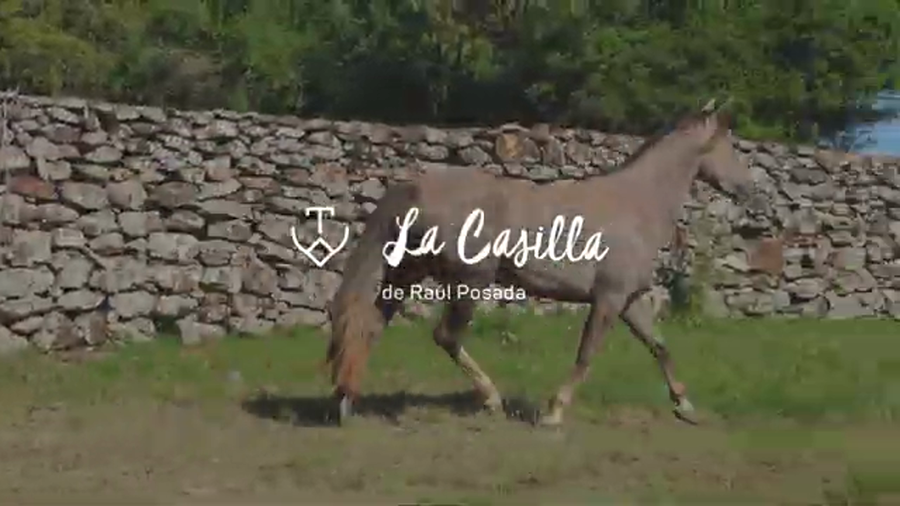 Lote METEORICA 670 DE LA CASILLA