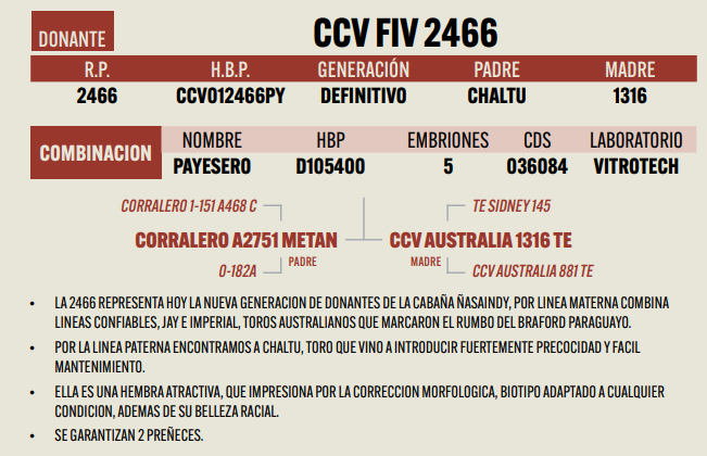 Lote LOTE 1