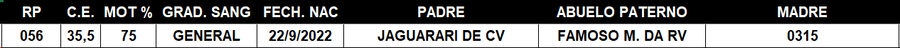 Lote LOTE 53