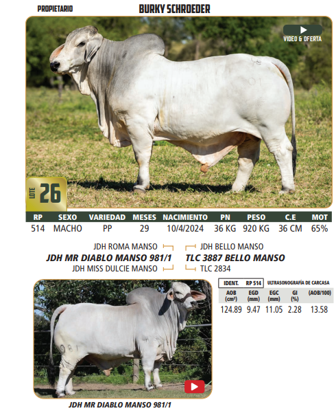 Lote LOTE 26