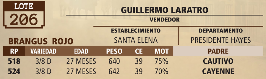 Lote LOTE 206 - VIVO