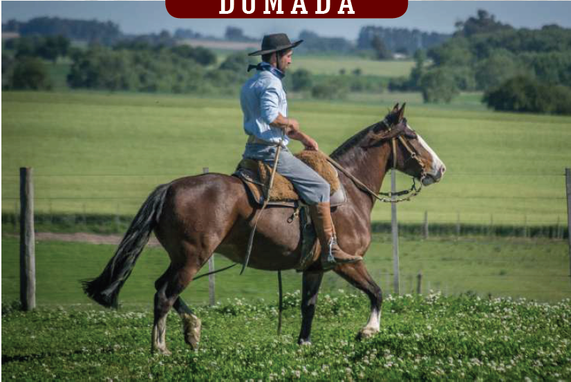 Lote YÚBELY ATORADA