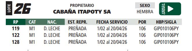 Lote LOTE 26