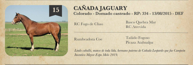 Lote Criollos da Fronteira Cañada Jaguary  RP: 334