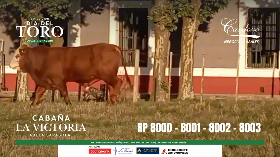 Lote Cabaña la victoria - Braford