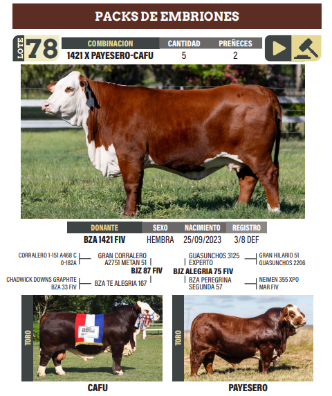 Lote LOTE 78