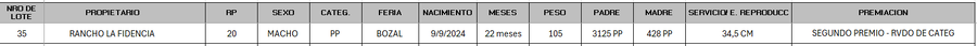 Lote LOTE 35 - BOZAL