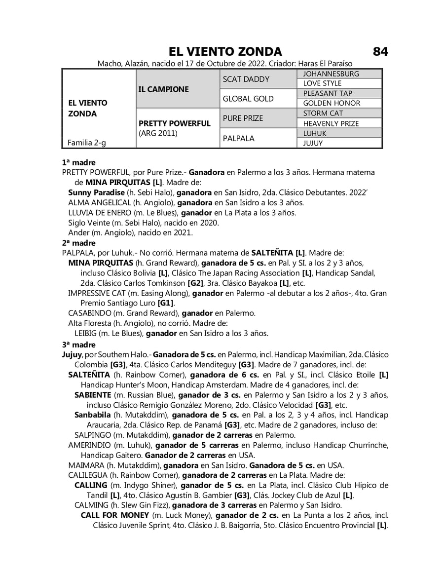 Lote EL VIENTO ZONDA