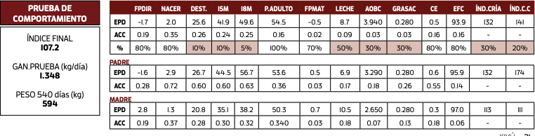 Lote RDA ANCARES ZERCA 9249/4064/17