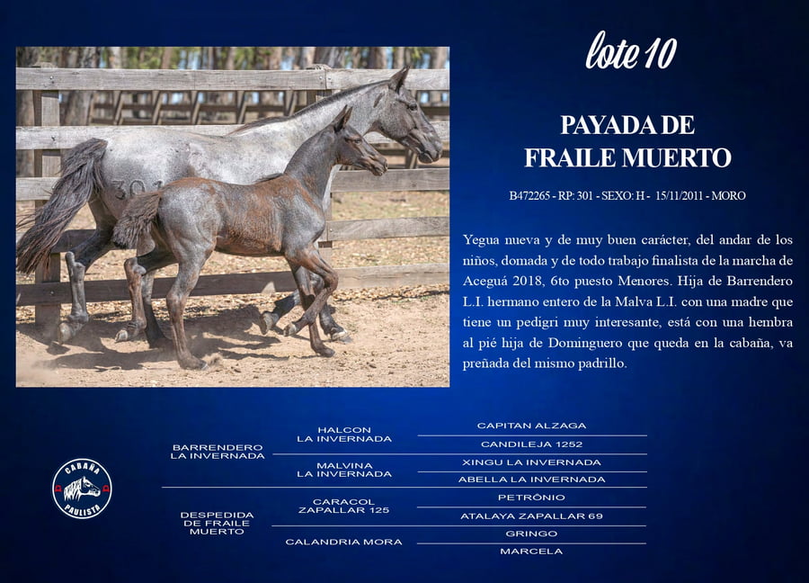 Lote Payada De Fraile Muerto