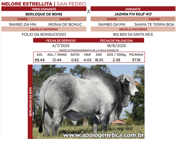 Lote LOTE 37