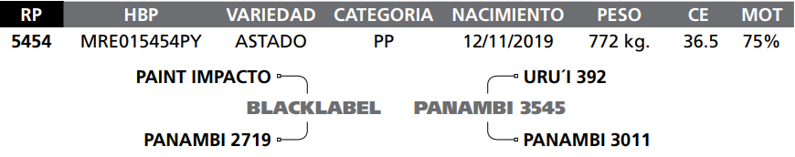 Lote LOTE  63-RP 5454