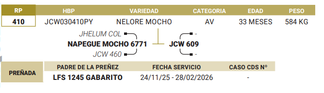 Lote LOTE 43