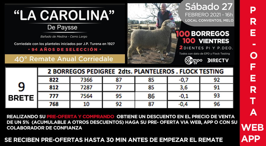 Lote 1 Borregos en Cerro Largo, Cerro Largo