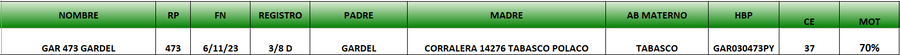 Lote LOTE 72